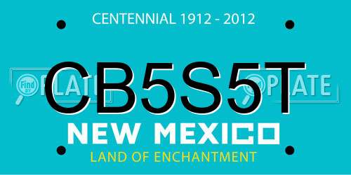 CB5S5T New Mexico License Plate