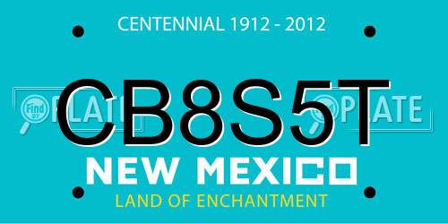 CB8S5T New Mexico License Plate