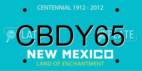 CBDY65 New Mexico License Plate