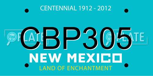 CBP305 New Mexico License Plate