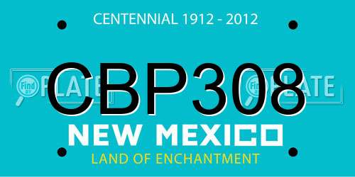 CBP308 New Mexico License Plate