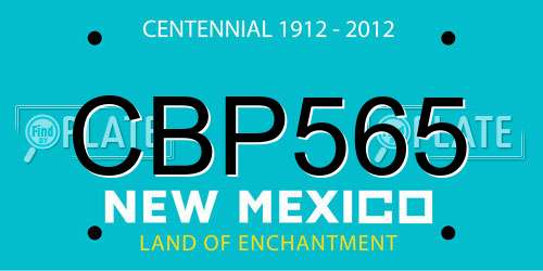 CBP565 New Mexico License Plate
