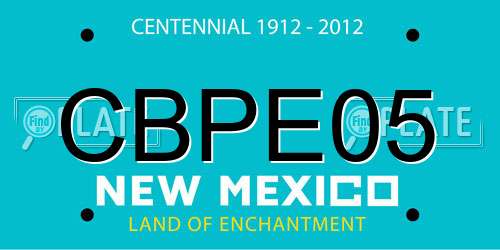 CBPE05 New Mexico License Plate