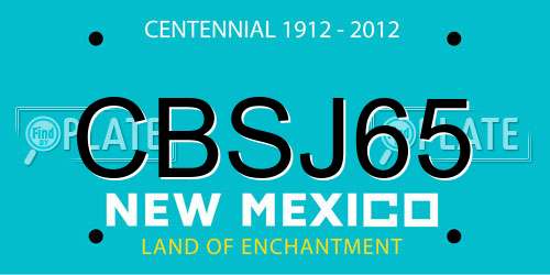 CBSJ65 New Mexico License Plate