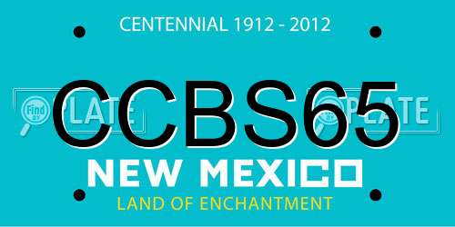 CCBS65 New Mexico License Plate