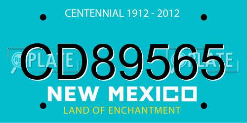 CD89565 New Mexico License Plate