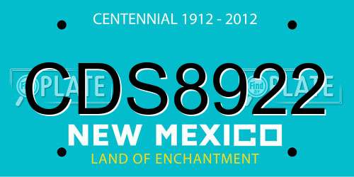 CDS8922 New Mexico License Plate