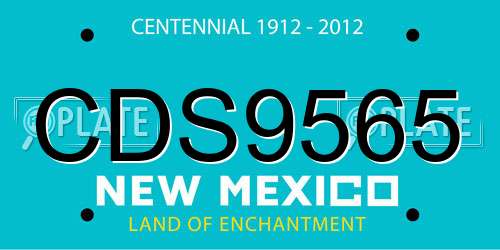 CDS9565 New Mexico License Plate