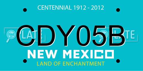 CDY05B New Mexico License Plate