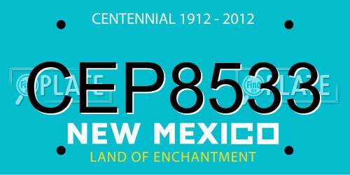 CEP8533 New Mexico License Plate