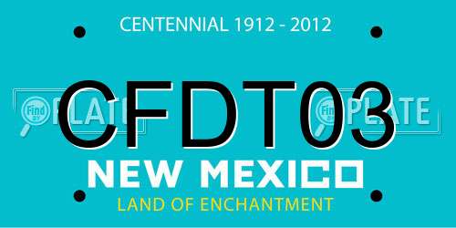 CFDT03 New Mexico License Plate