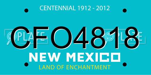 CFO4818 New Mexico License Plate
