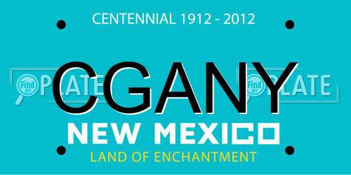 CGANY New Mexico License Plate