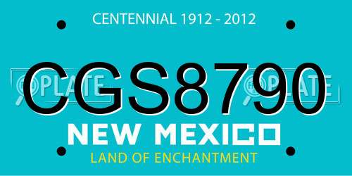 CGS8790 New Mexico License Plate