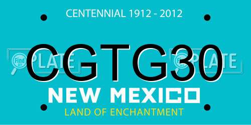 CGTG30 New Mexico License Plate