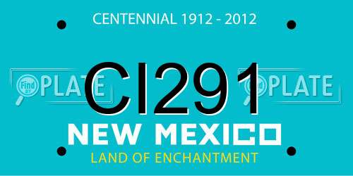 CI291 New Mexico License Plate