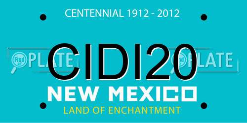 CIDI20 New Mexico License Plate