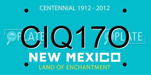 CIQ17O New Mexico License Plate