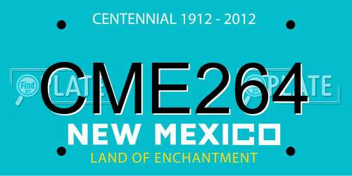 CME264 New Mexico License Plate