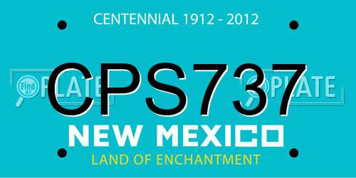 CPS737 New Mexico License Plate