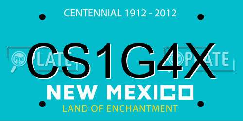 CS1G4X New Mexico License Plate