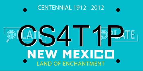 CS4T1P New Mexico License Plate