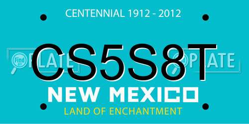CS5S8T New Mexico License Plate