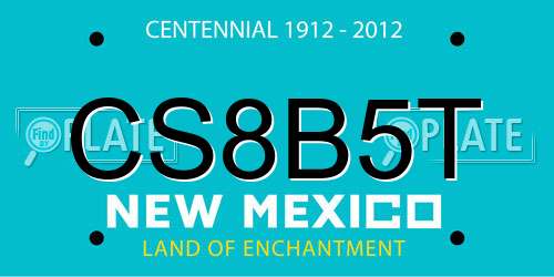 CS8B5T New Mexico License Plate