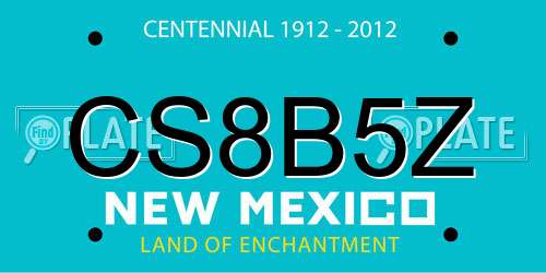 CS8B5Z New Mexico License Plate