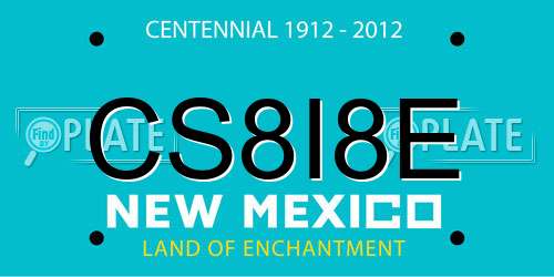 CS8I8E New Mexico License Plate