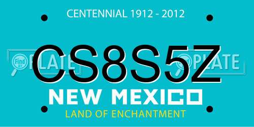 CS8S5Z New Mexico License Plate