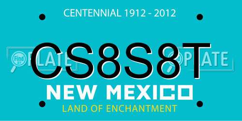 CS8S8T New Mexico License Plate