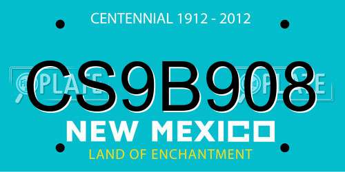 CS9B908 New Mexico License Plate