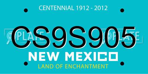 CS9S905 New Mexico License Plate