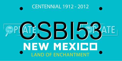 CSBI53 New Mexico License Plate