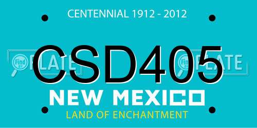 CSD405 New Mexico License Plate