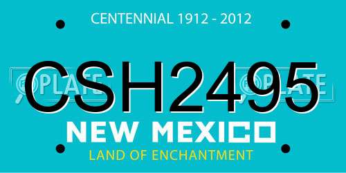 CSH2495 New Mexico License Plate