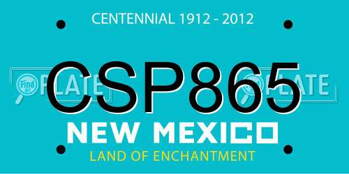 CSP865 New Mexico License Plate