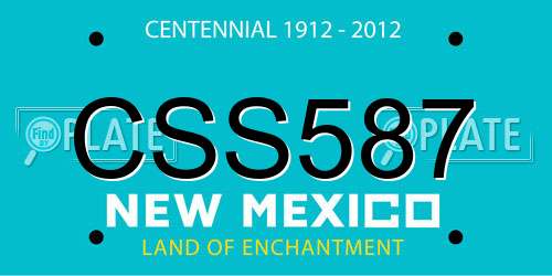 CSS587 New Mexico License Plate