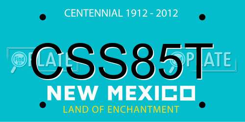CSS85T New Mexico License Plate