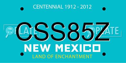 CSS85Z New Mexico License Plate