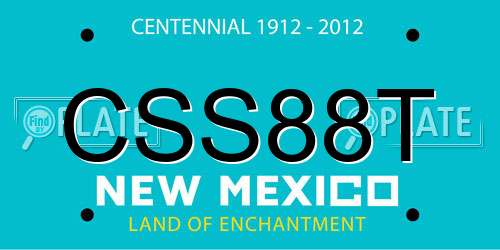 CSS88T New Mexico License Plate