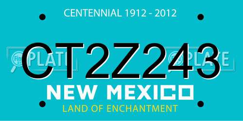 CT2Z243 New Mexico License Plate