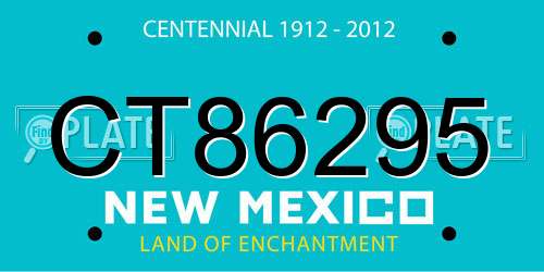 CT86295 New Mexico License Plate