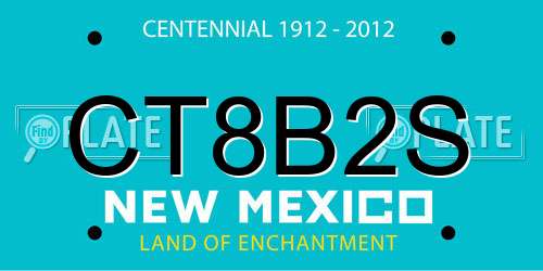 CT8B2S New Mexico License Plate