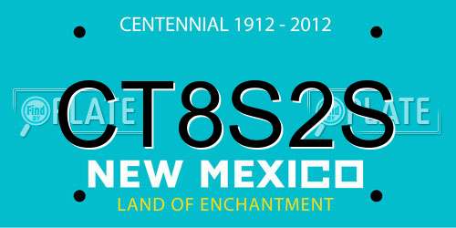 CT8S2S New Mexico License Plate