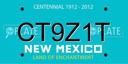 CT9Z1T New Mexico License Plate