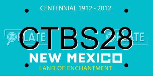 CTBS28 New Mexico License Plate