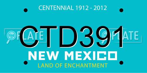 CTD391 New Mexico License Plate