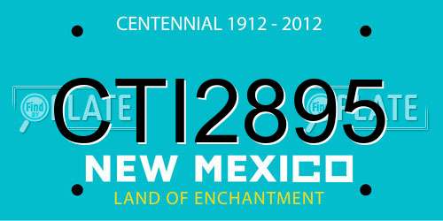 CTI2895 New Mexico License Plate